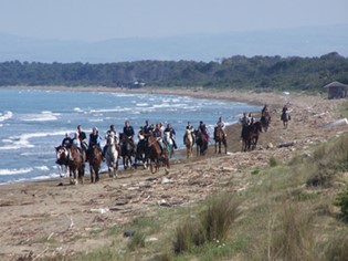 CM Equitazione Orbetello