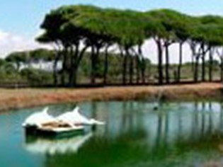 AI Delfini - Stabilimento balneare e Sosta Camper Orbetello