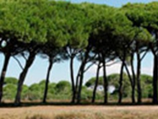 AI Delfini - Stabilimento balneare e Sosta Camper Orbetello