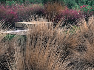 Botanical Dry Garden Orbetello