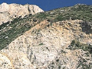 Capo d'Uomo