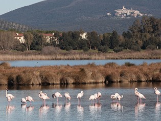 Burano Lake