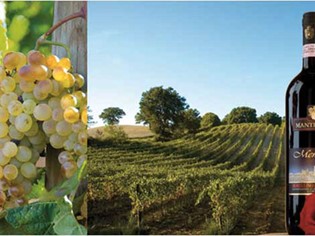 Fattoria Mantellassi