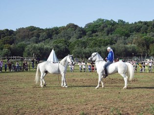 Sport und Freizeit