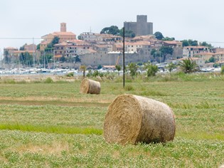 Maremma la regione non scoperta della Toscana