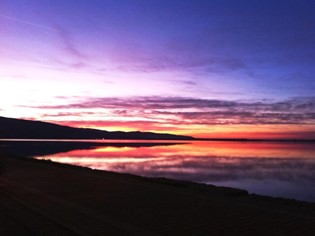 Animali Ammessi Mare Toscana