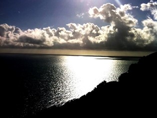 Animali Ammessi Mare Toscana