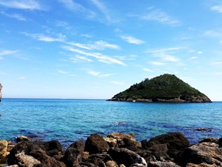 Animali Ammessi Mare Toscana