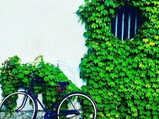 Capalbio e il suo centro storico