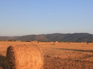 Nature and Environment